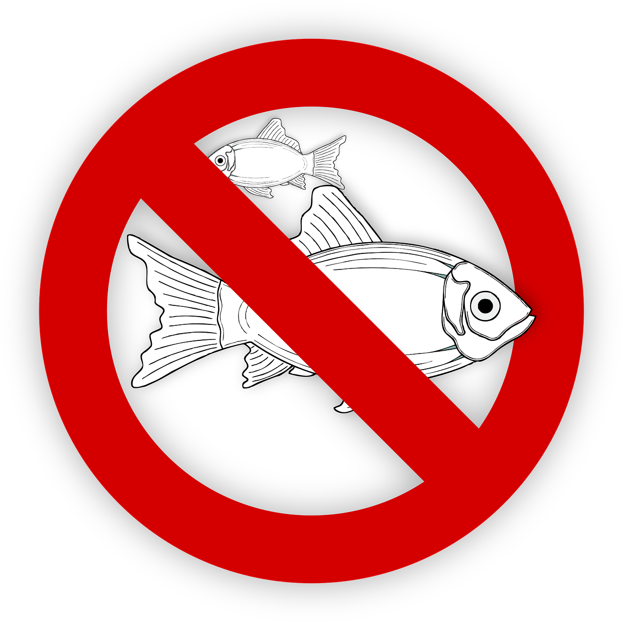 pixabay-995050-24.png